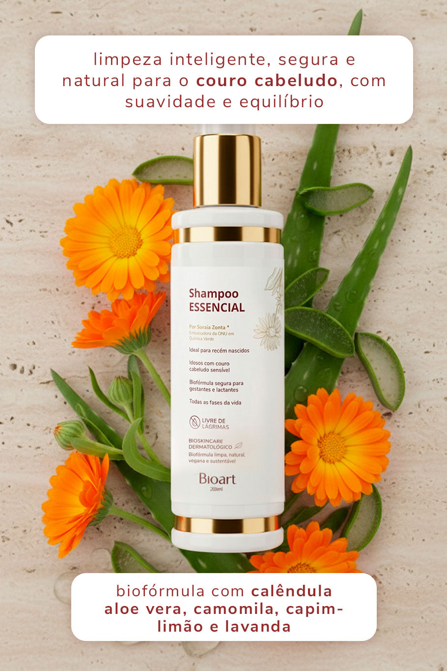 DAY BY DAY ESSENTIAL HAIR KIT